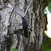 IMG_1299.jpg