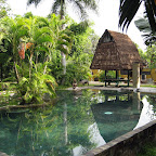 Pondok Sari swimmingpool (Pemuteran, North Bali)