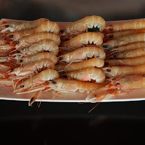 escapada cap de setmana gastronomic tarragona.jpg escapada fin de semana gastronomico tarragona.jpg