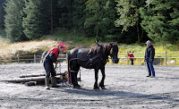 Øvelse Lunnebenk. Ole Sandås og Herkules