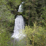 IMG_2209.JPG