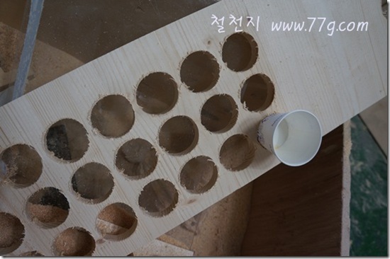 철천지DSC00837-20120508-161108 철천지DSC00837-20120508-161108