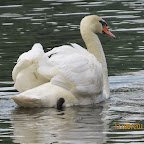 IMG_7321.JPG