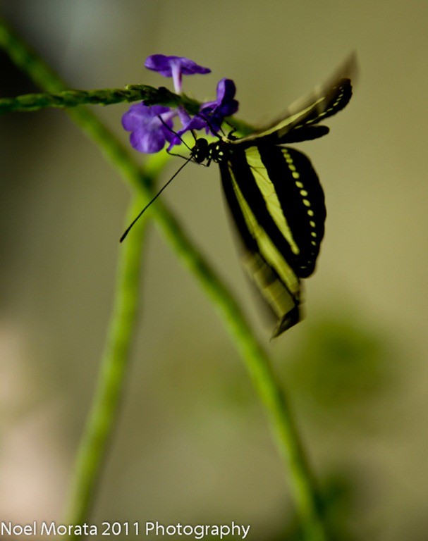 IMG_6120 IMG_6120