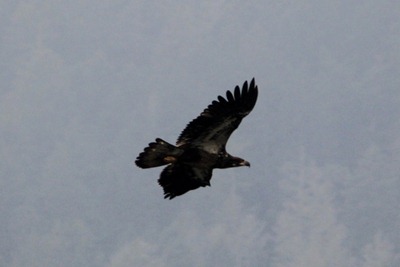 IMG_8560