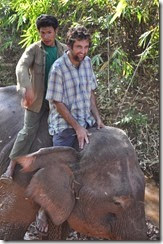 Laos Luang Prabang Elephant camp 140201_0234