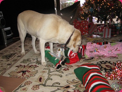 IMG_3862 IMG_3862