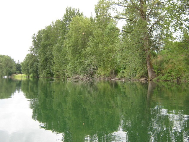 [IMG_0318%255B4%255D.jpg]