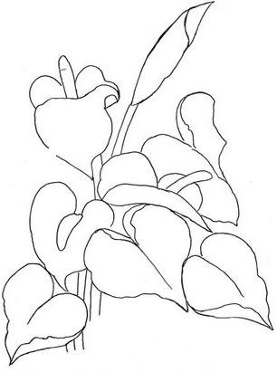 [risco%2520flor%2520pintura%2520em%2520tecido%252020%255B2%255D.jpg]