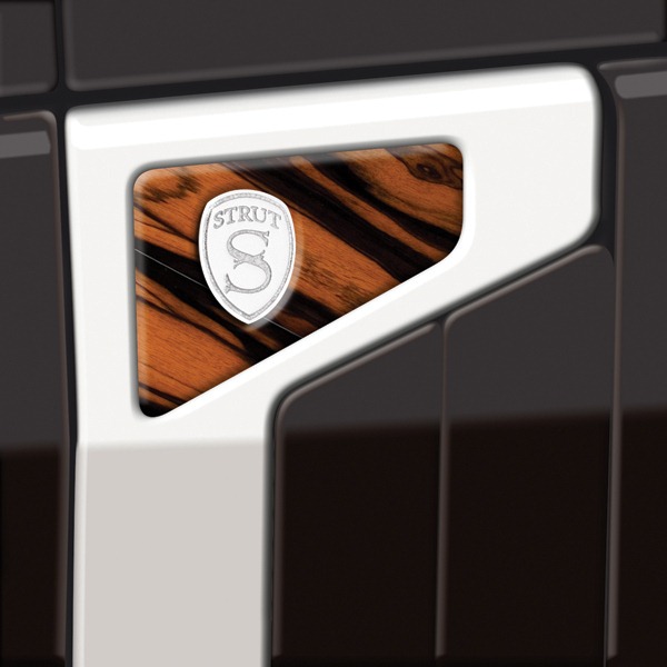 [Struts-2013-Range-Rover-15%255B3%255D.jpg]