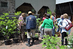 Visitors buying native plants