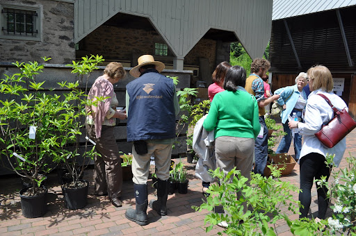 Visitors buying native plants