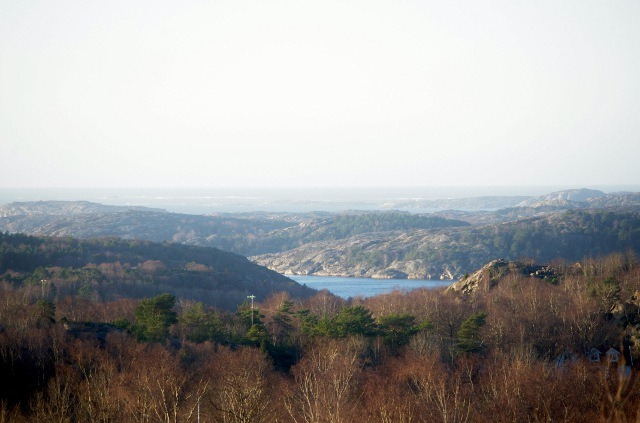 IMGP4130 (640x423)