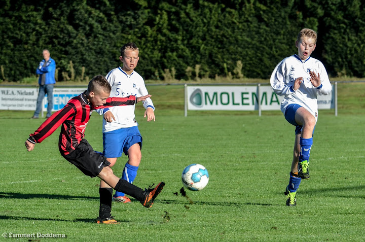 20130928 - BATO D2 - WVV D4 - 021.jpg