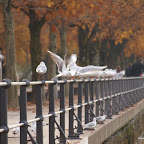 20091031 Allgaeu 0143 [640x480].JPG