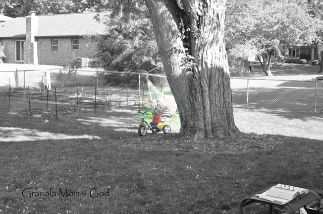 [DSC_0028%255B4%255D.jpg]