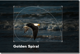 golden spiral cropping overlay in lightroom golden spiral cropping overlay in lightroom