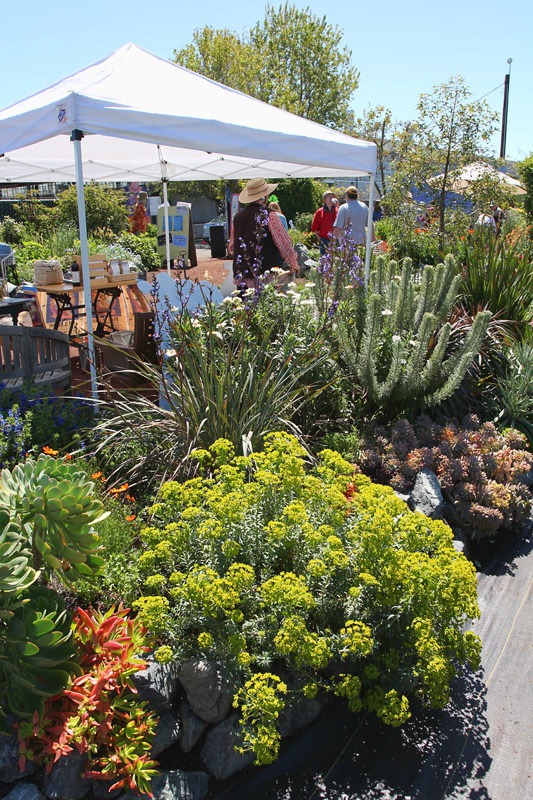 [120414_AnniesAnnuals_20%255B2%255D.jpg]