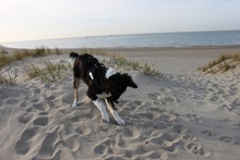IMG_0548 IMG_0548