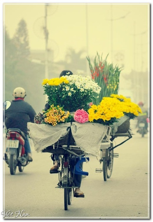  Nét bình dị của Hà Nội trong những sáng mùa đông, Việt Nam