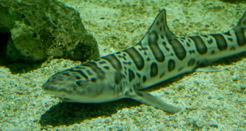 [aquariumaugust56.jpg]