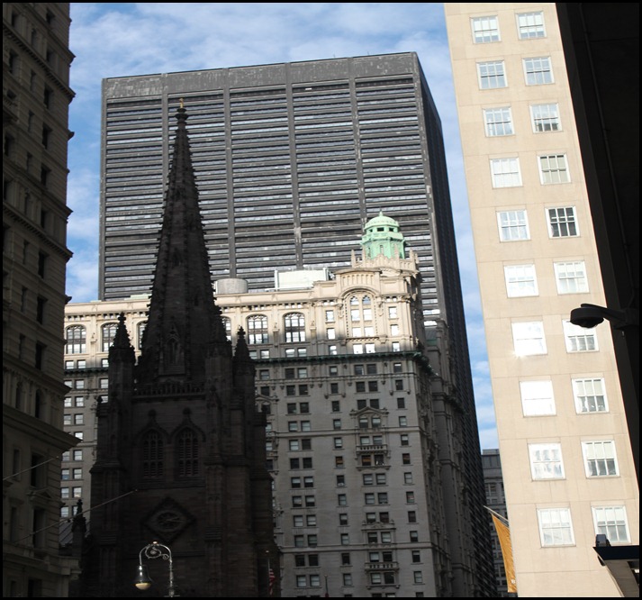 IMG_2950 IMG_2950