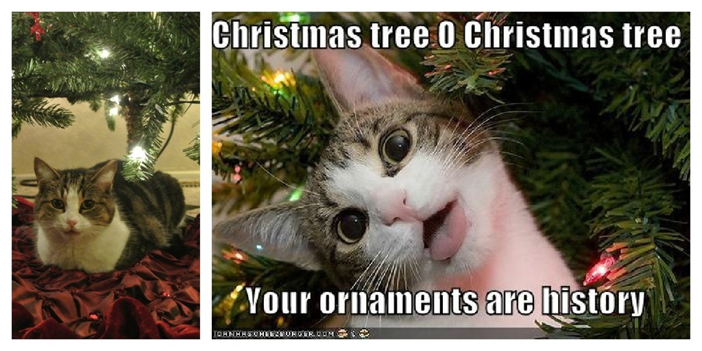 [Chrismtas%2520kitty%255B2%255D.jpg]