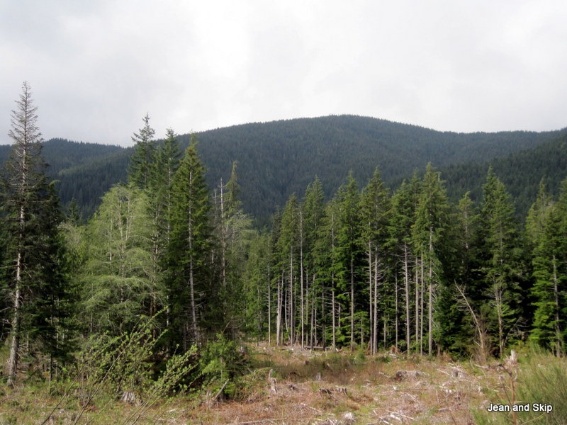 [IMG_3794-001%255B3%255D.jpg]