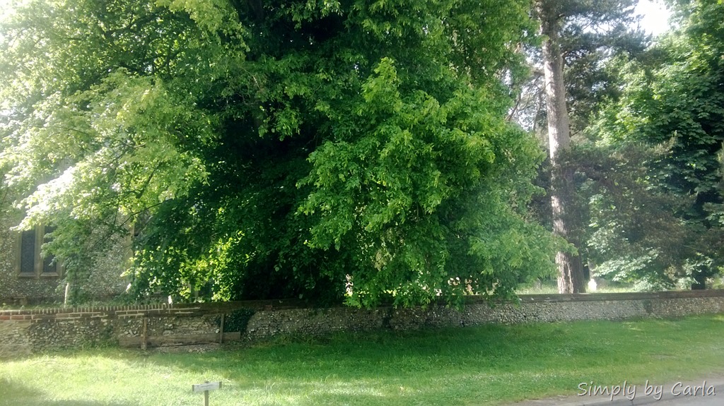 [WP_20130615_001%255B10%255D.jpg]