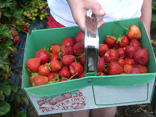 Strawberries