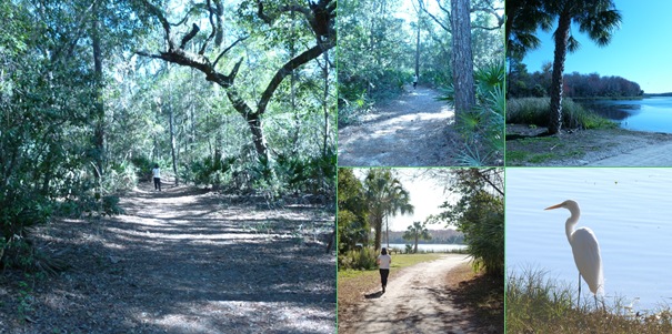 View Salt Spring Trail