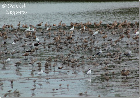 IMG_0776 IMG_0776