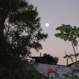IMG_4093.JPG