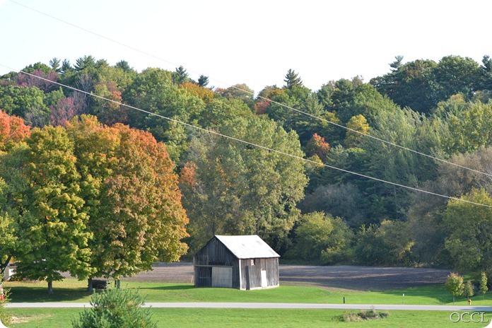 DSC_4153 DSC_4153