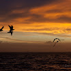 12-25-09_2430.jpg