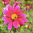 DSC_0577.JPG