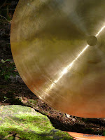 Moosalbtal_090920 260.jpg