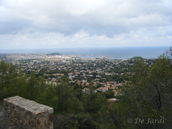 2012_09250042.jpg