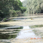 DSCN8353.JPG
