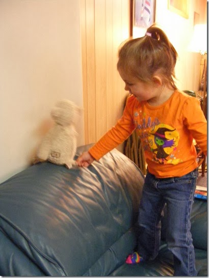 DSCF9277 DSCF9277