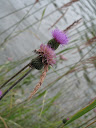 IMG_4028.JPG