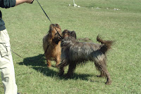 DSCF2906.JPG