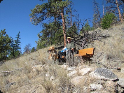 IMG_7117 IMG_7117