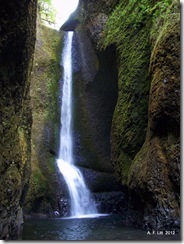 Falls.  Oneonta Gorge.   Columbia River Gorge.  Oregon.  September 8, 2012.