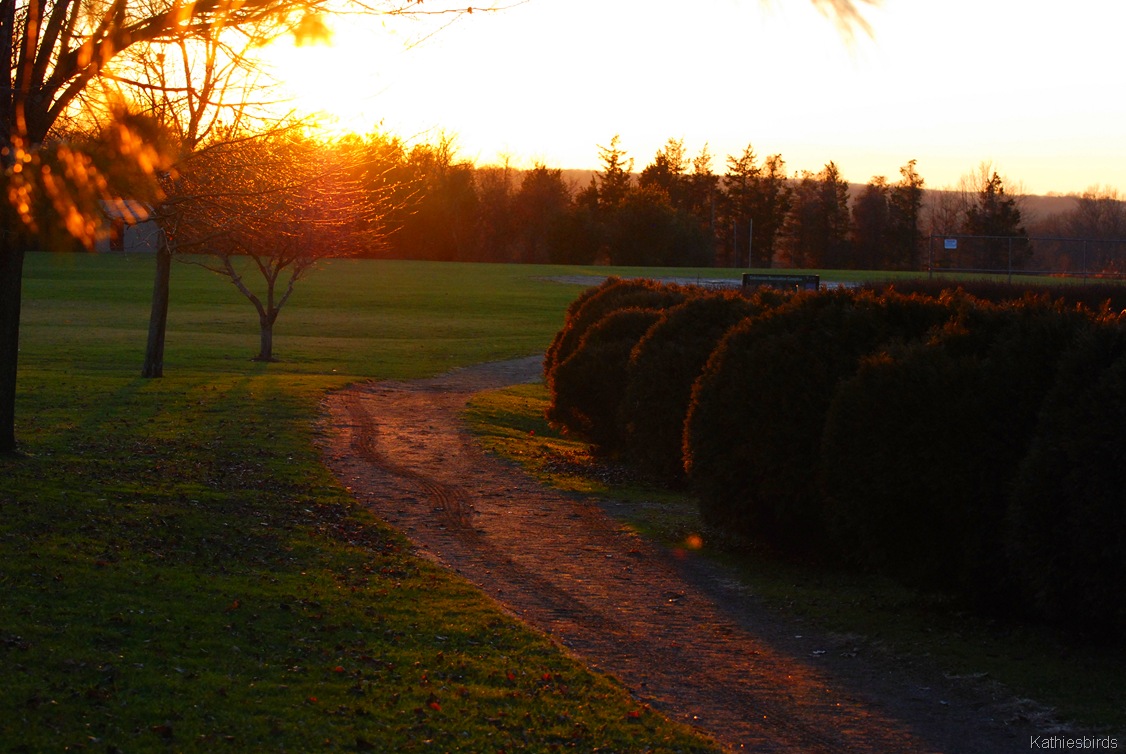 [9.%2520sunset%255B4%255D.jpg]