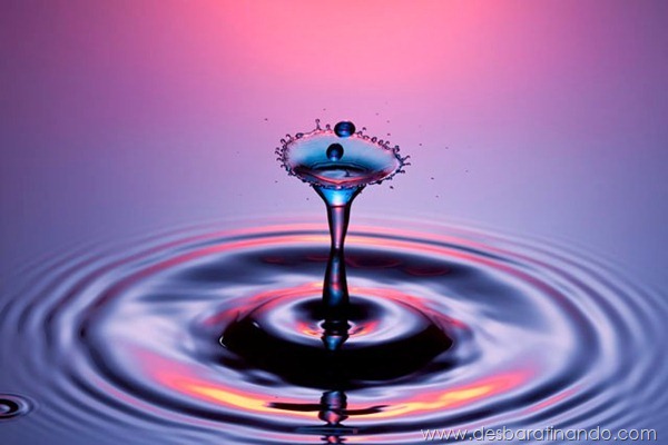liquid-drop-art-gotas-caindo-foto-velocidade-hora-certa-desbaratinando (54) liquid-drop-art-gotas-caindo-foto-velocidade-hora-certa-desbaratinando (54)