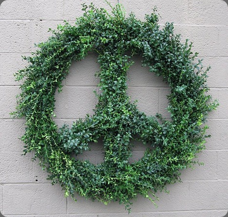 298415_10150421008669808_127579899807_10159575_198457934_n pacific coast evergreen via SF flower mart 298415_10150421008669808_127579899807_10159575_198457934_n pacific coast evergreen via SF flower mart