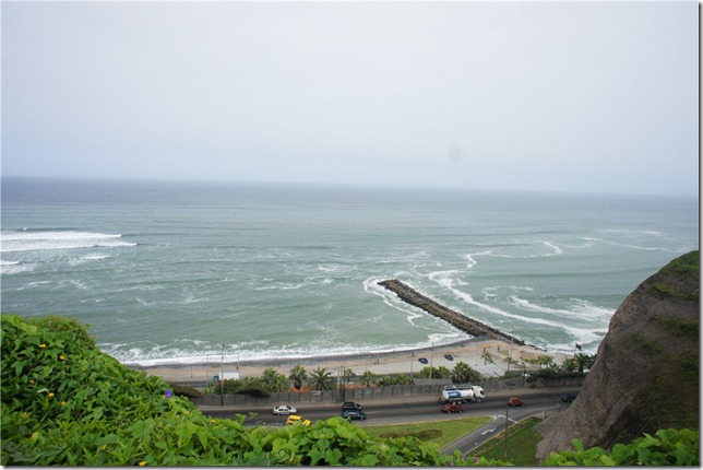 s-DSC07256 s-DSC07256
