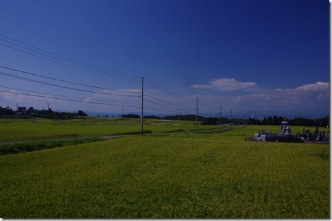 IMGP9599 IMGP9599