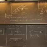 P9057597.JPG